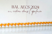 HEC - AECS -Bal des finissants 2024